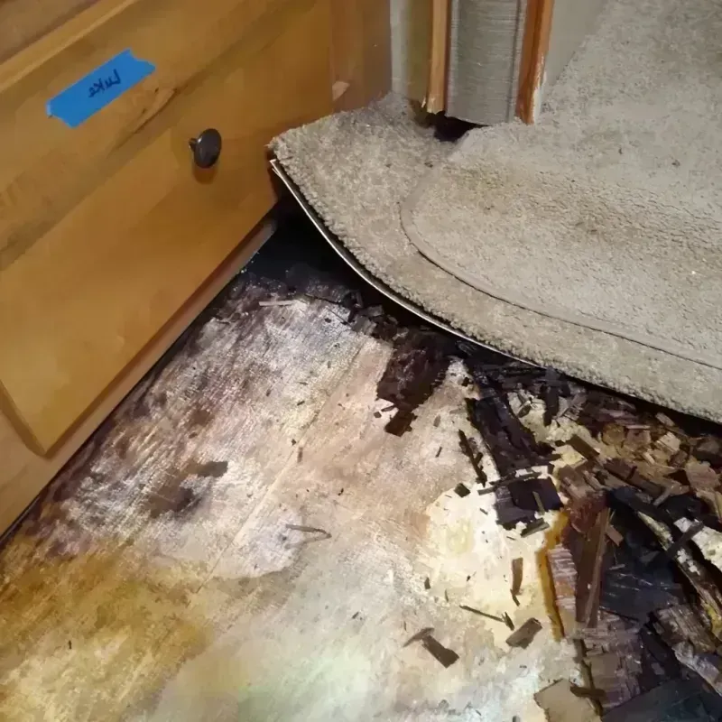 Wood Floor Water Damage in Carlstadt, NJ